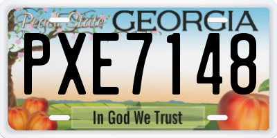 GA license plate PXE7148