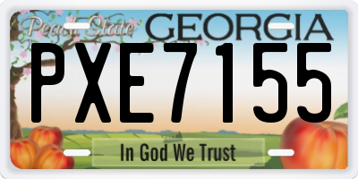 GA license plate PXE7155