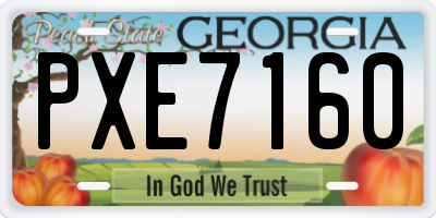 GA license plate PXE7160
