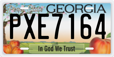 GA license plate PXE7164