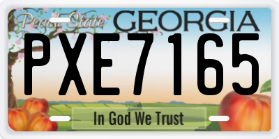 GA license plate PXE7165
