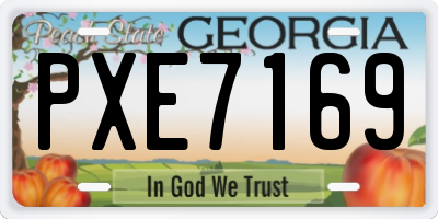 GA license plate PXE7169