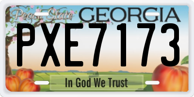 GA license plate PXE7173