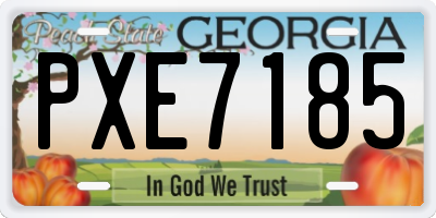 GA license plate PXE7185