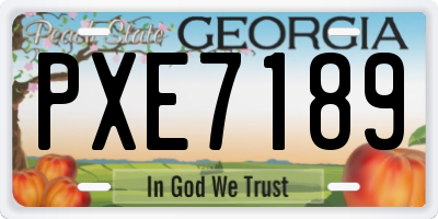 GA license plate PXE7189