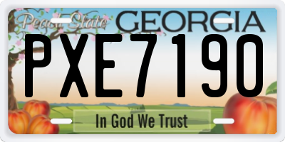 GA license plate PXE7190