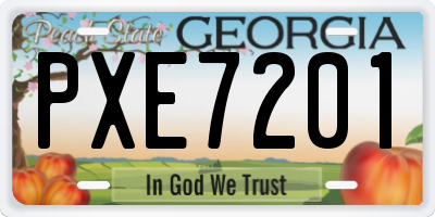 GA license plate PXE7201