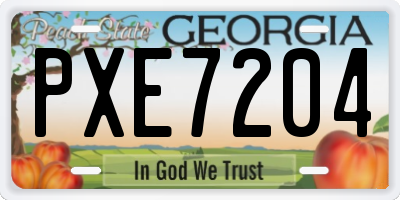 GA license plate PXE7204