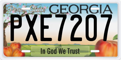 GA license plate PXE7207