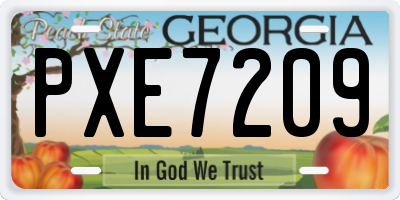 GA license plate PXE7209
