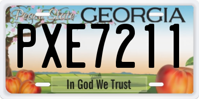 GA license plate PXE7211