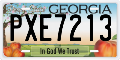 GA license plate PXE7213