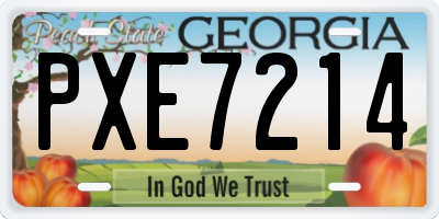 GA license plate PXE7214