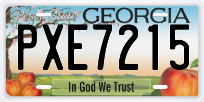 GA license plate PXE7215