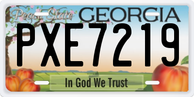 GA license plate PXE7219