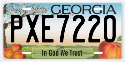 GA license plate PXE7220