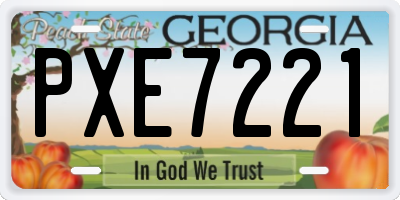 GA license plate PXE7221