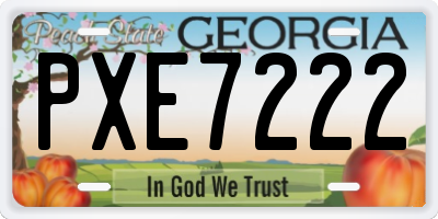 GA license plate PXE7222