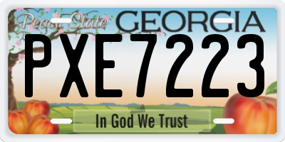 GA license plate PXE7223