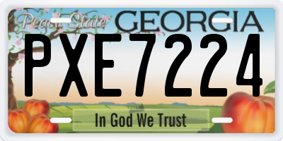 GA license plate PXE7224