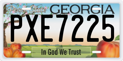 GA license plate PXE7225