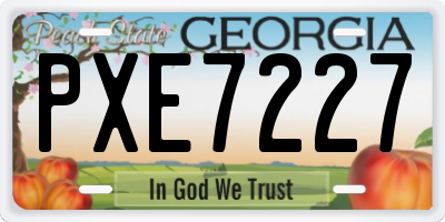 GA license plate PXE7227