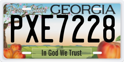 GA license plate PXE7228