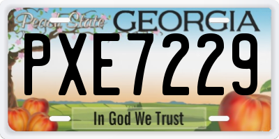 GA license plate PXE7229