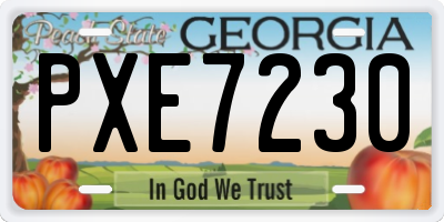 GA license plate PXE7230