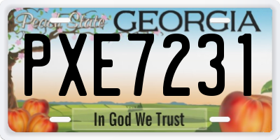 GA license plate PXE7231