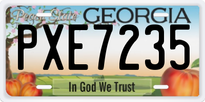 GA license plate PXE7235