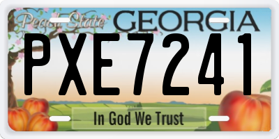 GA license plate PXE7241