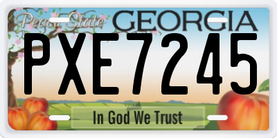 GA license plate PXE7245