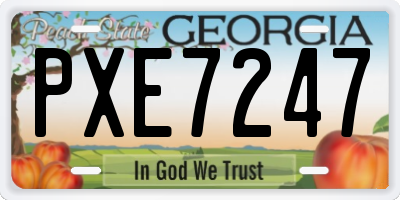 GA license plate PXE7247
