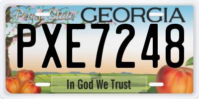GA license plate PXE7248