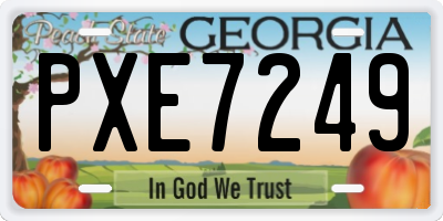 GA license plate PXE7249