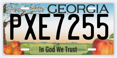 GA license plate PXE7255