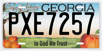 GA license plate PXE7257