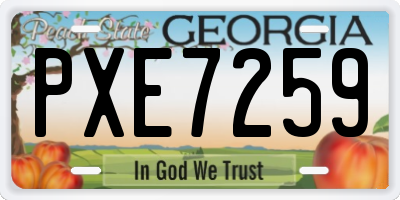 GA license plate PXE7259
