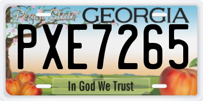GA license plate PXE7265
