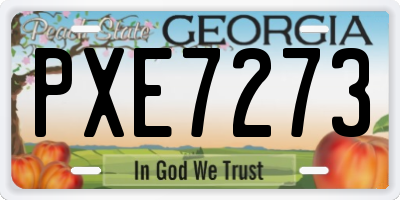 GA license plate PXE7273