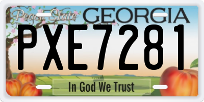 GA license plate PXE7281