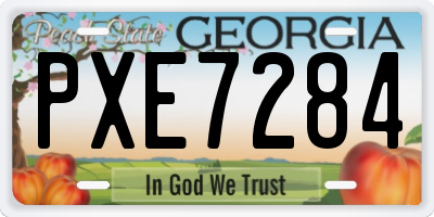 GA license plate PXE7284