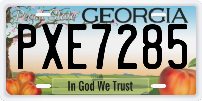 GA license plate PXE7285