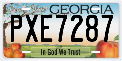 GA license plate PXE7287