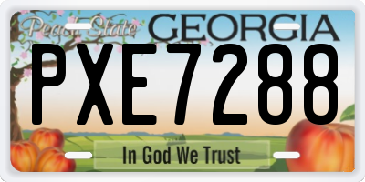 GA license plate PXE7288