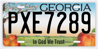 GA license plate PXE7289