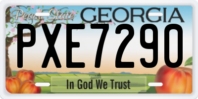 GA license plate PXE7290