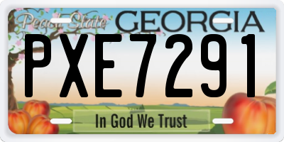 GA license plate PXE7291