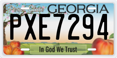 GA license plate PXE7294